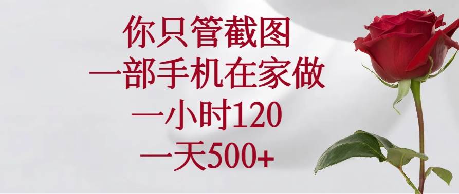 （14248期）你只管截图，一部手机在家做，一小时120，一天500+网创吧-网创项目资源站-副业项目-创业项目-搞钱项目网创吧
