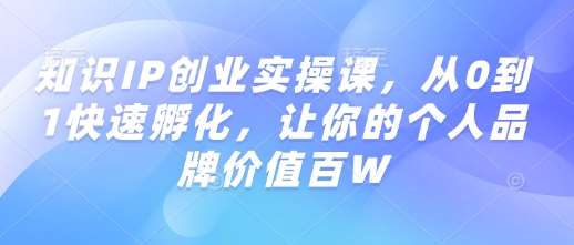 知识IP创业实操课，从0到1快速孵化，让你的个人品牌价值百W网创吧-网创项目资源站-副业项目-创业项目-搞钱项目网创吧