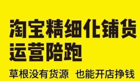 淘宝精细化铺货运营陪跑(部分更新至2025)，草根没有货源 也能开店挣钱网创吧-网创项目资源站-副业项目-创业项目-搞钱项目网创吧