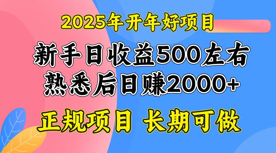（14076期）2025开年好项目，单号日收益2000左右网创吧-网创项目资源站-副业项目-创业项目-搞钱项目网创吧