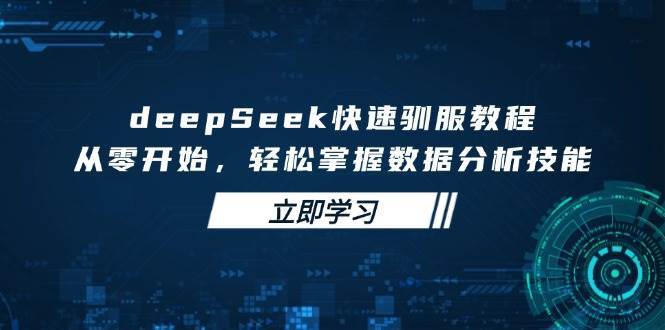 deepSeek快速驯服教程，从零开始，轻松掌握数据分析技能网创吧-网创项目资源站-副业项目-创业项目-搞钱项目网创吧