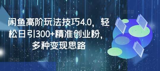 闲鱼高阶玩法技巧4.0，轻松日引300+精准创业粉，多种变现思路网创吧-网创项目资源站-副业项目-创业项目-搞钱项目网创吧