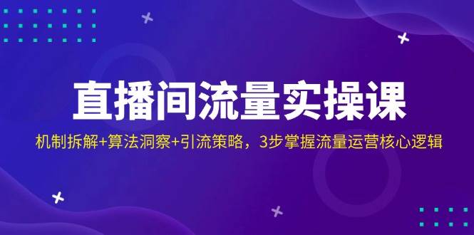 （14122期）直播间流量实操课：机制拆解+算法洞察+引流策略，3步掌握流量运营核心逻辑网创吧-网创项目资源站-副业项目-创业项目-搞钱项目网创吧