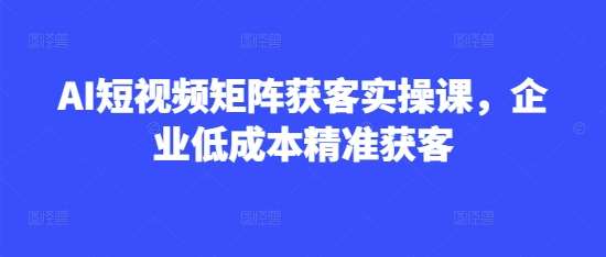 AI短视频矩阵获客实操课，企业低成本精准获客网创吧-网创项目资源站-副业项目-创业项目-搞钱项目网创吧