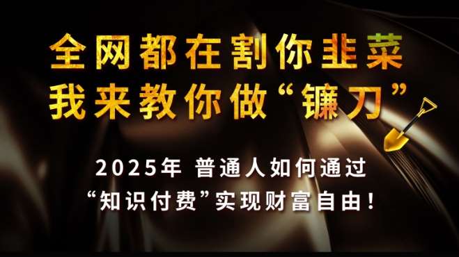 全网都在割你韭菜，我来教你做镰刀,2025普通人如何通过知识付费，实现财F自由【揭秘】网创吧-网创项目资源站-副业项目-创业项目-搞钱项目网创吧