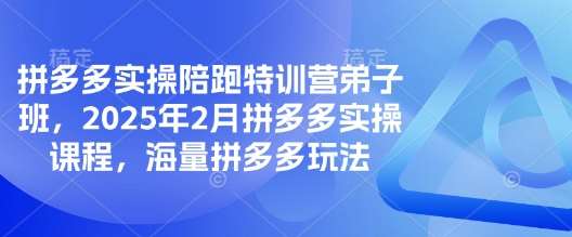 拼多多实操陪跑特训营弟子班，2025年2月拼多多实操课程，海量拼多多玩法网创吧-网创项目资源站-副业项目-创业项目-搞钱项目网创吧
