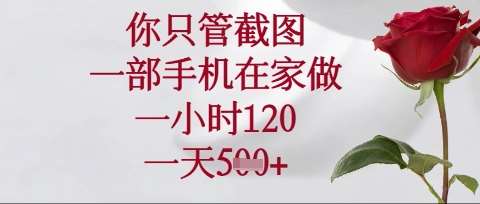你只管截图，一部手机在家操作，一小时120.一天5张【揭秘】网创吧-网创项目资源站-副业项目-创业项目-搞钱项目网创吧