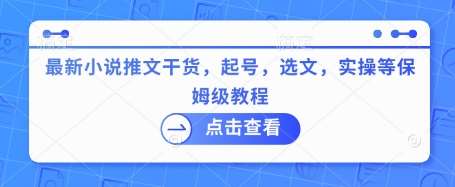 最新小说推文干货，起号，选文，实操等保姆级教程网创吧-网创项目资源站-副业项目-创业项目-搞钱项目网创吧