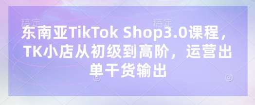 东南亚TikTok Shop3.0课程，TK小店​从初级到高阶，运营出单干货输出网创吧-网创项目资源站-副业项目-创业项目-搞钱项目网创吧