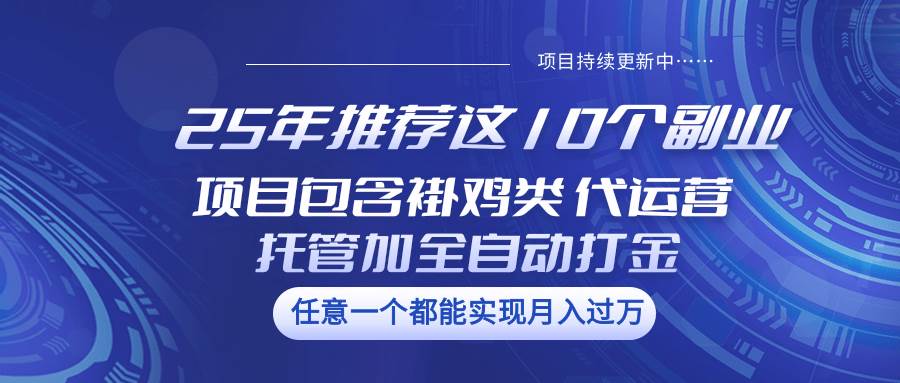 25年推荐这10个副业 项目包含褂鸡类、代运营托管类、全自动打金类网创吧-网创项目资源站-副业项目-创业项目-搞钱项目网创吧