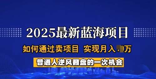 2025蓝海项目，普通人如何通过卖项目，实现月入过W，全过程【揭秘】网创吧-网创项目资源站-副业项目-创业项目-搞钱项目网创吧