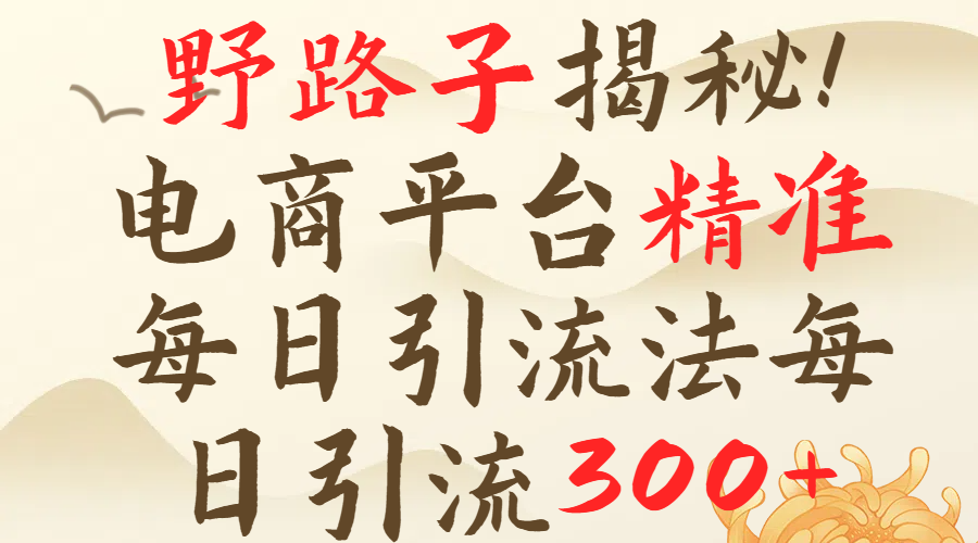 野路子揭秘！电商平台每日引流300＋独家揭秘详细流程！网创吧-网创项目资源站-副业项目-创业项目-搞钱项目网创吧
