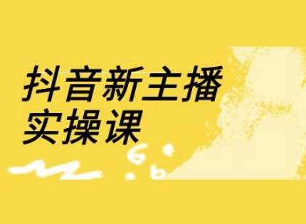抖音新主播实操课，直播间流量运营线上实操课(18节)网创吧-网创项目资源站-副业项目-创业项目-搞钱项目网创吧
