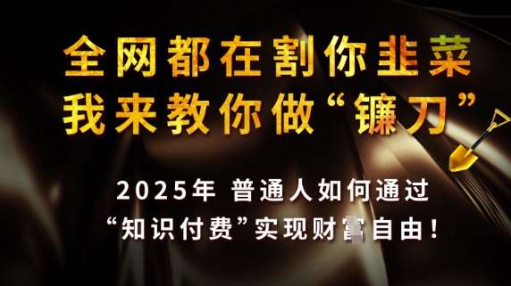 全网都在割你韭菜，我来教你做镰刀，2025普通人如何通过知识付费，实现财F自由【揭秘】网创吧-网创项目资源站-副业项目-创业项目-搞钱项目网创吧
