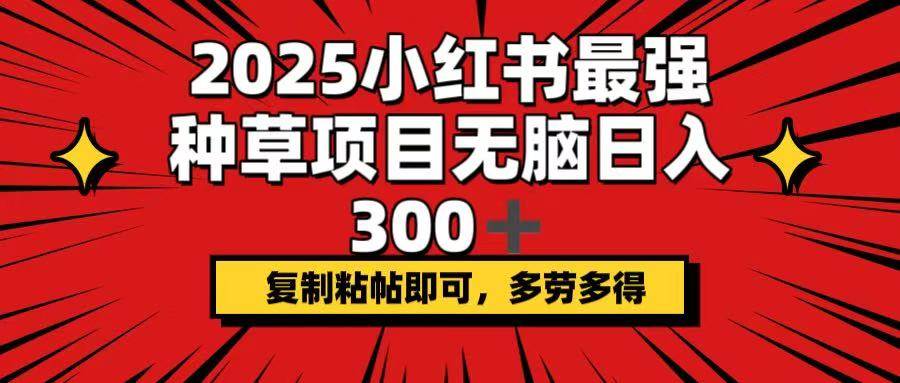 （14375期）2025小红书最强种草项目，无脑日入300+，复制粘帖即可，多劳多得网创吧-网创项目资源站-副业项目-创业项目-搞钱项目网创吧