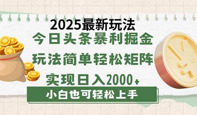 (14120期)今日头条2025最新玩法,思路简单,复制粘贴,轻松实现矩阵日入2000+网创吧-网创项目资源站-副业项目-创业项目-搞钱项目网创吧