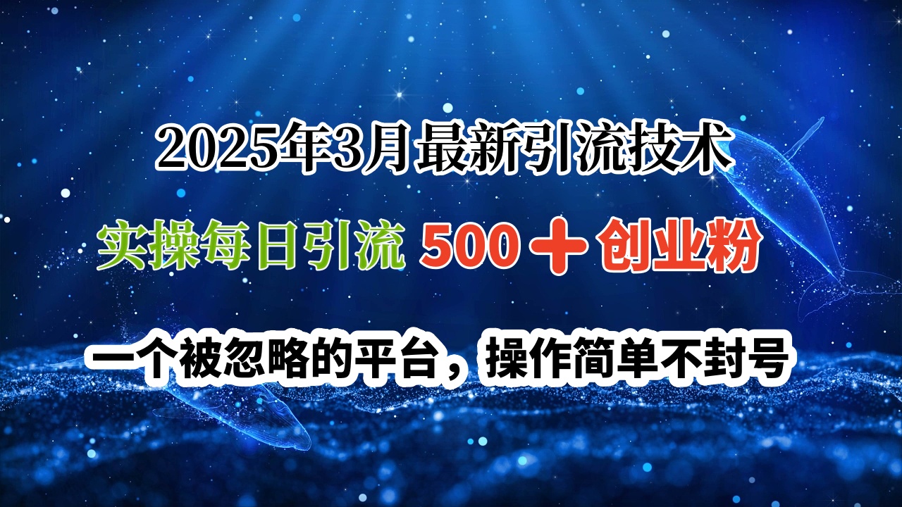 2025年3月最新引流技术，实操每日引流500➕创业粉，一个被忽略的平台，操作简单不封号网创吧-网创项目资源站-副业项目-创业项目-搞钱项目网创吧