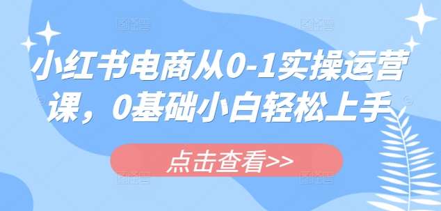 小红书电商从0-1实操运营课，0基础小白轻松上手网创吧-网创项目资源站-副业项目-创业项目-搞钱项目网创吧