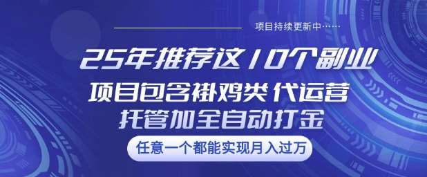 25年推荐这10个副业项目包含褂鸡类、代运营托管类、全自动打金类【揭秘】网创吧-网创项目资源站-副业项目-创业项目-搞钱项目网创吧