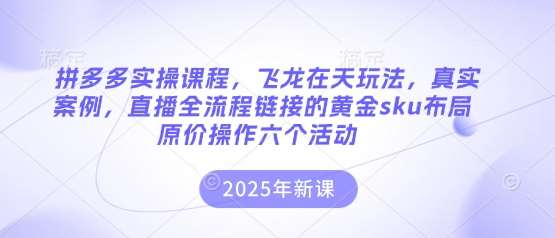 拼多多实操课程，飞龙在天玩法，真实案例，直播全流程链接的黄金sku布局原价操作六个活动网创吧-网创项目资源站-副业项目-创业项目-搞钱项目网创吧