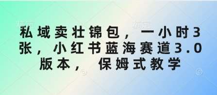 私域卖壮锦包，一小时3张，小红书蓝海赛道3.0版本， 保姆式教学网创吧-网创项目资源站-副业项目-创业项目-搞钱项目网创吧