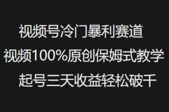 视频号冷门暴利赛道视频100%原创保姆式教学起号三天收益轻松破千网创吧-网创项目资源站-副业项目-创业项目-搞钱项目网创吧