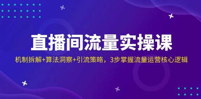 直播间流量实操课：机制拆解+算法洞察+引流策略，3步掌握流量运营核心逻辑网创吧-网创项目资源站-副业项目-创业项目-搞钱项目网创吧