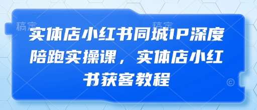 实体店小红书同城IP深度陪跑实操课，实体店小红书获客教程网创吧-网创项目资源站-副业项目-创业项目-搞钱项目网创吧
