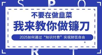 韭菜生涯终结者，我来教你做镰刀，2025如何通过“知识付费”实现财F自由【揭秘】网创吧-网创项目资源站-副业项目-创业项目-搞钱项目网创吧