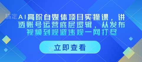 AI高阶自媒体项目实操课，讲透账号运营底层逻辑，从发布视频到规避违规一网打尽网创吧-网创项目资源站-副业项目-创业项目-搞钱项目网创吧