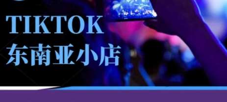 Tiktok东南亚跨境小店运营班，一门专业的TK小店运营培训课网创吧-网创项目资源站-副业项目-创业项目-搞钱项目网创吧