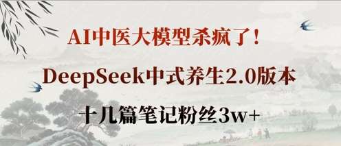 AI中医大模型杀疯了！DeepSeek中式养生2.0版本，十几篇笔记粉丝3w+网创吧-网创项目资源站-副业项目-创业项目-搞钱项目网创吧