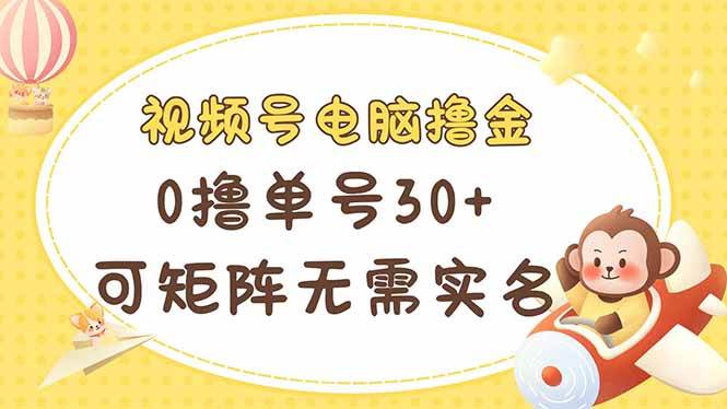 （14220期）视频号电脑撸金 0撸单号30+ 可矩阵 无需实名多号多得网创吧-网创项目资源站-副业项目-创业项目-搞钱项目网创吧