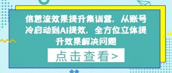 信息流效果提升集训营，从账号冷启动到AI提效，全方位立体提升效果解决问题网创吧-网创项目资源站-副业项目-创业项目-搞钱项目网创吧