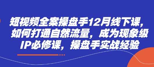 短视频全案操盘手12月线下课，如何打通自然流量，成为现象级IP必修课，操盘手实战经验网创吧-网创项目资源站-副业项目-创业项目-搞钱项目网创吧
