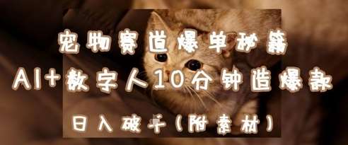 宠物赛道爆单秘籍：AI+数字人10分钟造爆款，日入1k网创吧-网创项目资源站-副业项目-创业项目-搞钱项目网创吧