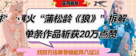 爆火“蒲松龄《狼》”实战拆解，仅6条作品涨粉24W，单条作品收获20W点赞，找对方法轻松起号月入过W网创吧-网创项目资源站-副业项目-创业项目-搞钱项目网创吧