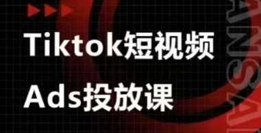 Ads视频投放课，tiktok短视频广告投放课网创吧-网创项目资源站-副业项目-创业项目-搞钱项目网创吧