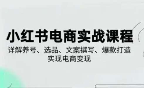 小红书从0-1实操课(2023-2025)，详解养号、选品、文案撰写、爆款打造实现电商变现网创吧-网创项目资源站-副业项目-创业项目-搞钱项目网创吧