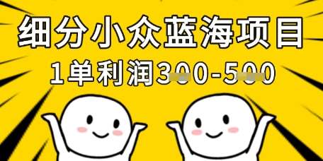 细分小众蓝海项目，一单利润3张，每月收入稳定过1w+网创吧-网创项目资源站-副业项目-创业项目-搞钱项目网创吧