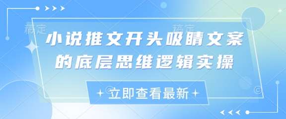 小说推文开头吸睛文案的底层思维逻辑实操网创吧-网创项目资源站-副业项目-创业项目-搞钱项目网创吧
