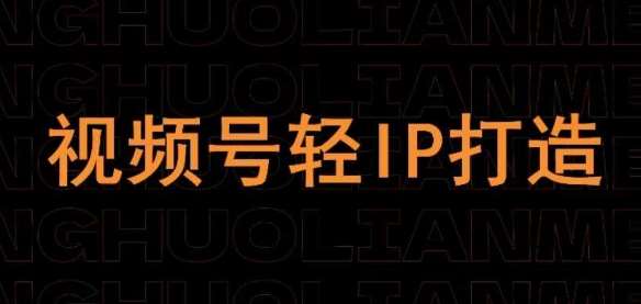 视频号线上课程，视频号轻IP打造网创吧-网创项目资源站-副业项目-创业项目-搞钱项目网创吧