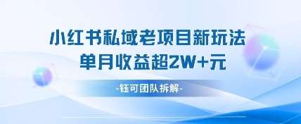 小红书私域项目新玩法，单月变现过W+网创吧-网创项目资源站-副业项目-创业项目-搞钱项目网创吧
