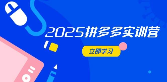 （14531期）2025拼多多实训营：深度剖析运营关键，助力电商人快速提升网创吧-网创项目资源站-副业项目-创业项目-搞钱项目网创吧