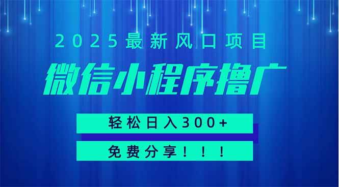 （14375期）微信小程序撸广，最新风口项目，日入300+ 免费分享 可批量操作 小白可…网创吧-网创项目资源站-副业项目-创业项目-搞钱项目网创吧