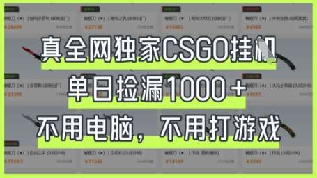 真全网独家CSGO挂G，单日捡漏1k+【揭秘】网创吧-网创项目资源站-副业项目-创业项目-搞钱项目网创吧