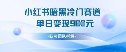 小红书冷门”暗黑”赛道，单日收益多张网创吧-网创项目资源站-副业项目-创业项目-搞钱项目网创吧