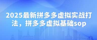 2025最新拼多多虚拟实战打法，拼多多虚拟基础sop网创吧-网创项目资源站-副业项目-创业项目-搞钱项目网创吧