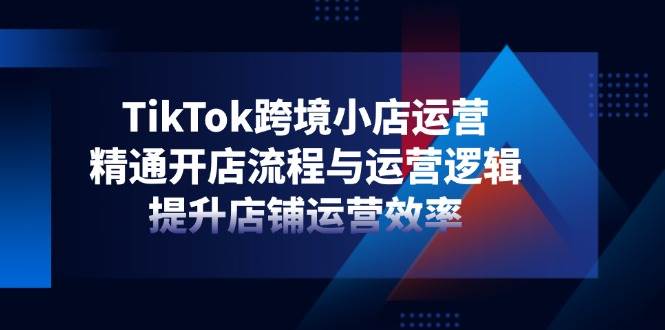 （14369期）TikTok跨境小店运营，精通开店流程与运营逻辑，提升店铺运营效率网创吧-网创项目资源站-副业项目-创业项目-搞钱项目网创吧