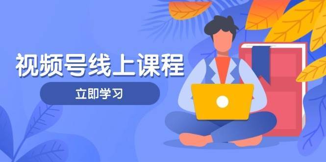 视频号实战课程，轻IP打造与运营技巧，掌握核心方法与策略网创吧-网创项目资源站-副业项目-创业项目-搞钱项目网创吧